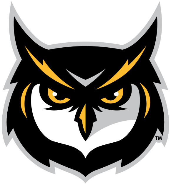 Kennesaw State Owls 2012-Pres Alternate Logo t shirts iron on transfers v3